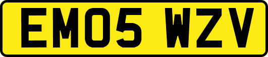 EM05WZV