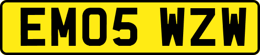 EM05WZW