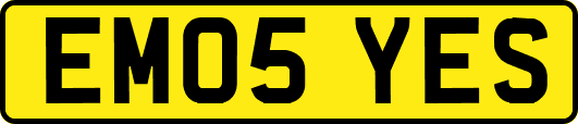 EM05YES