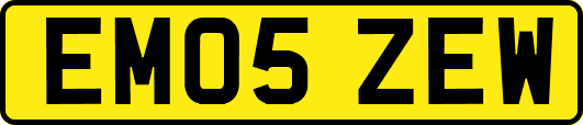 EM05ZEW