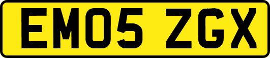 EM05ZGX
