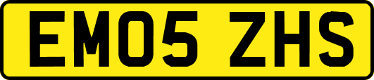 EM05ZHS