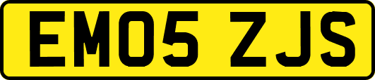 EM05ZJS