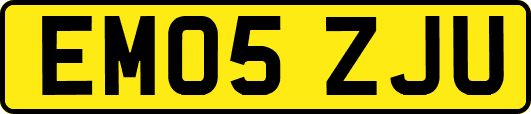 EM05ZJU