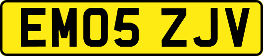 EM05ZJV