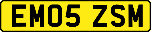 EM05ZSM