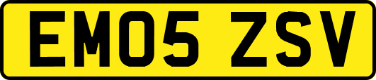 EM05ZSV