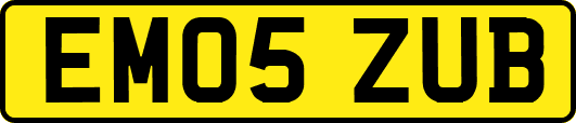 EM05ZUB