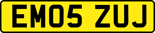 EM05ZUJ