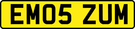 EM05ZUM