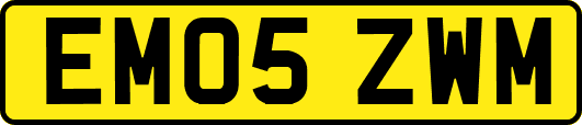 EM05ZWM