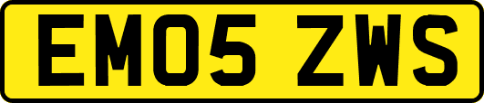 EM05ZWS
