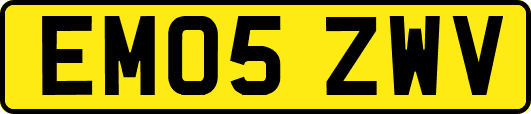 EM05ZWV
