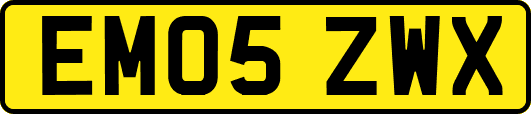 EM05ZWX