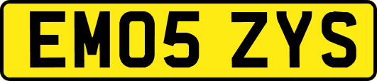 EM05ZYS