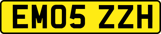 EM05ZZH