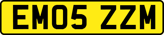EM05ZZM