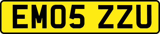 EM05ZZU