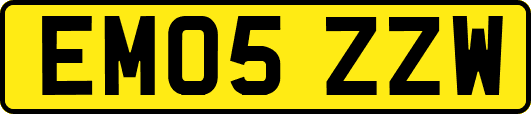 EM05ZZW