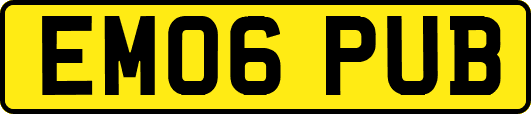 EM06PUB