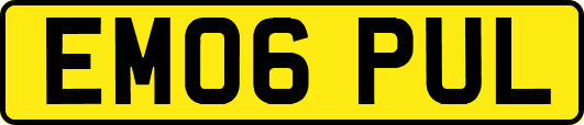 EM06PUL