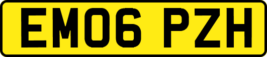 EM06PZH