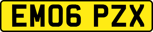 EM06PZX
