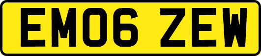 EM06ZEW