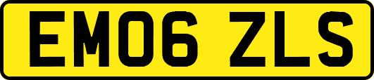 EM06ZLS