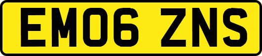 EM06ZNS