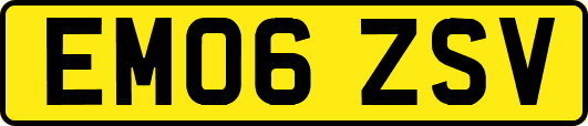 EM06ZSV
