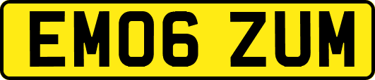 EM06ZUM