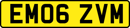 EM06ZVM