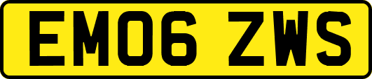 EM06ZWS
