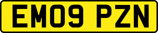 EM09PZN
