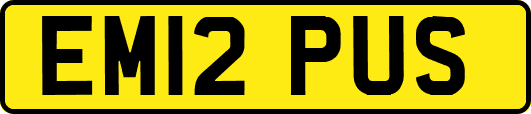 EM12PUS