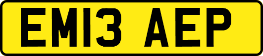 EM13AEP