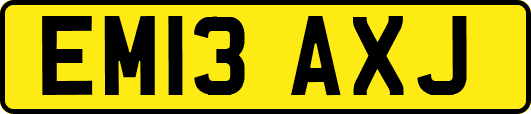 EM13AXJ