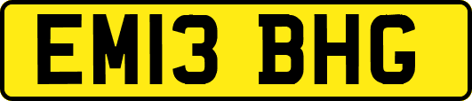 EM13BHG