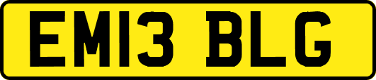 EM13BLG