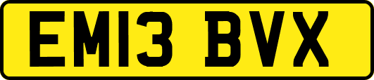 EM13BVX