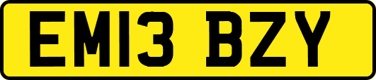 EM13BZY