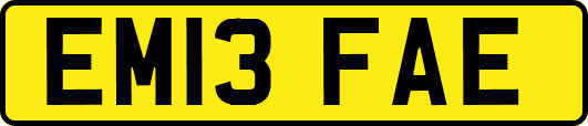 EM13FAE