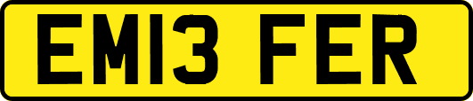 EM13FER