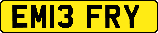 EM13FRY