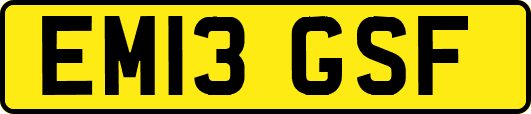 EM13GSF