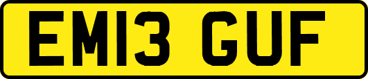 EM13GUF