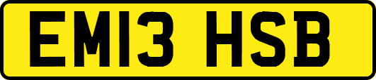 EM13HSB