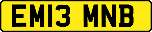 EM13MNB