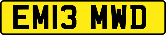 EM13MWD